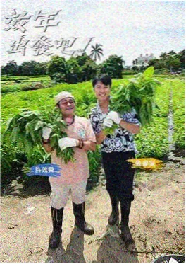 虫虫漫画综艺 我们恋爱吧 封面